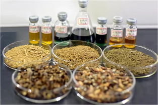 鄭州大學賈陸教授團隊突破創新 金絲楠木提取物研發獲國家專利，植物提取技術再攀高峰