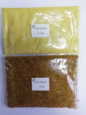從田野到藥典 玉米花粉、破壁玉米花粉與高粱花粉的植物提取物研發新視角